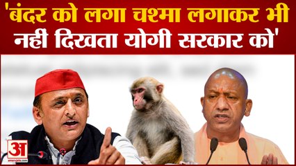 Mathura News: 'बंदर को लगा चश्मा लगाकर भी नहीं दिखता योगी सरकार को' | Up News