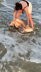 Woman Attempts to Rescue an Inflated Puffer Fish
