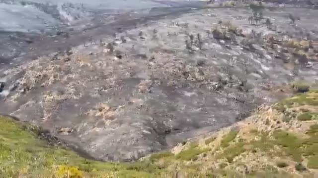 El incendio de Bejís está en proceso de estabilización pero continúa activo por el calor y los puntos calientes