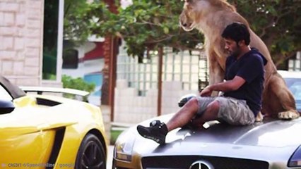 15 Outrageous Things You'll Only See In Dubai