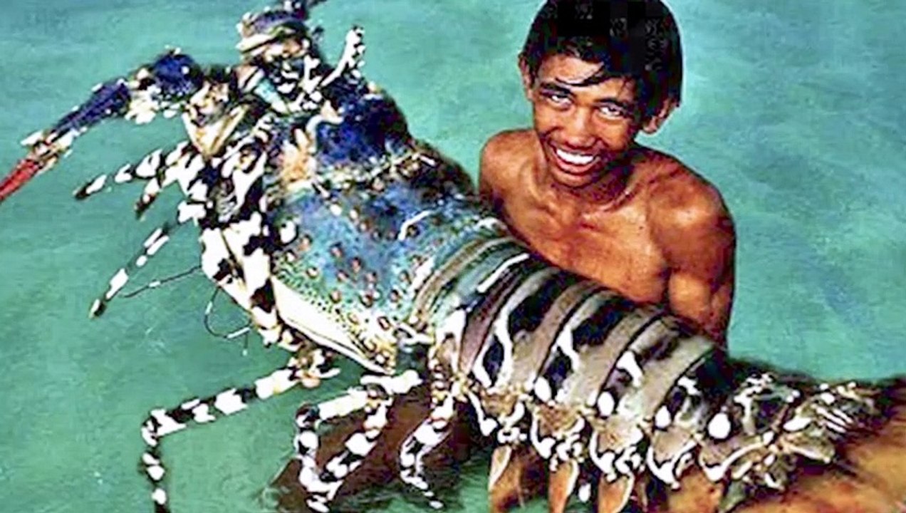 15 Biggest River Monsters Ever Caught
