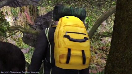 15 Wild Animals That Saved Human Lives