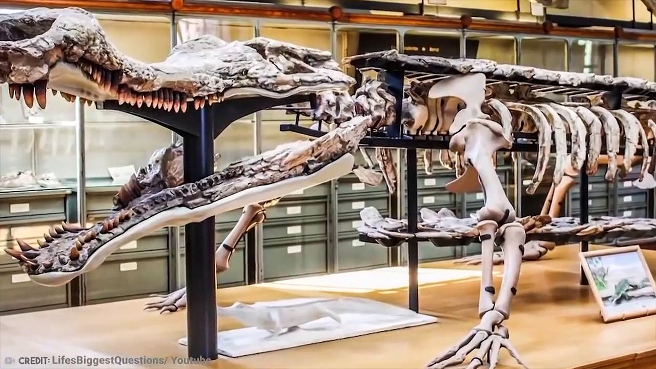 15 Biggest Megalodon Enemies Ever Existed