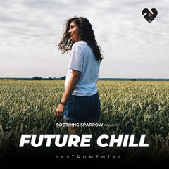 Fun Times Ahed - (Instrumental) - Future Chill - Soothing Sparrow