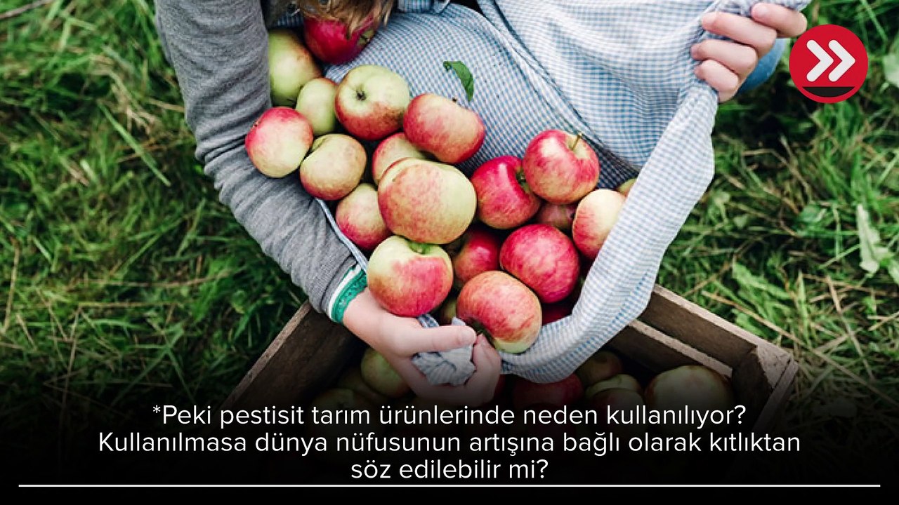 Meyve-sebzede olmalı mı yoksa olmamalı mı? Herkes onu konuşuyor: Pestisit