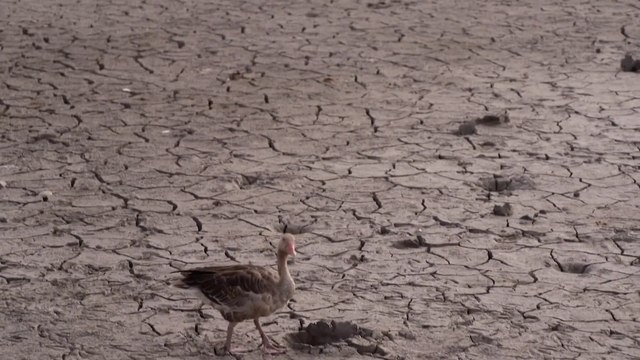 العربية 360 | تقارير: هجرة 1.5مليار شخصٍ إلى القطب الشمالي بحلول 2050