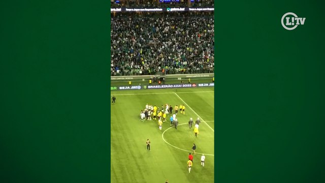 Jogadores de Palmeiras e Flamengo trocam empurrões após o apito final