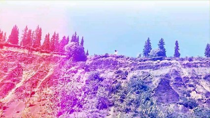 Momentos Increíbles Captados por las Cámaras