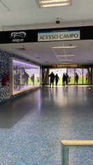 Pezzolano Cruzeiro