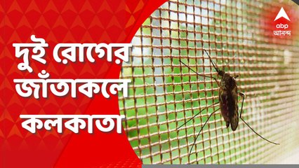 Malaria Dengue : মশাবাহিত দুই রোগে কলকাতায় বাড়ছে আক্রান্ত, মৃত্যু
