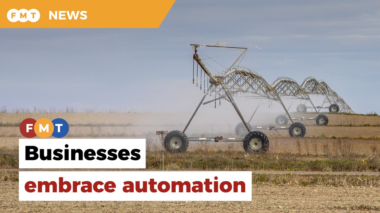 Addressing labour shortages with automation