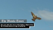One year after the return of the Taliban, Afghan kites fly in London skies as a sign of solidarity