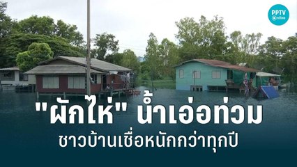 น้ำเริ่มล้นตลิ่ง ชาวบ้าน "ผักไห่" เชื่อน้ำท่วมหนักกว่าทุกปี | เที่ยงทันข่าว | 22 ส.ค. 65