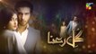 Gul-e-Rana - Episode 04 - [ HD ] - ( Feroze Khan - Sajal Aly ) - HUM TV Drama