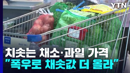 "장 보러 와서 빈 손으로"...치솟는 채소·과일 가격에 소비자 '근심' / YTN