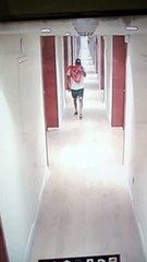 Buscan al ladrón de la toalla