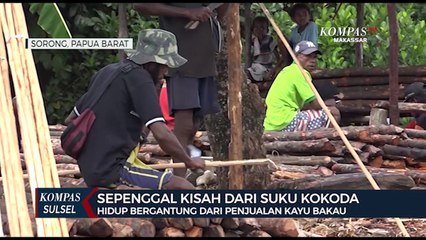 Kisah Dari Suku Kokoda, Hidup Bergantung Dari Penjualan Kayu Bakau