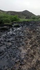 WhatsApp Video 2022-08-22 at 10.58.35 AM