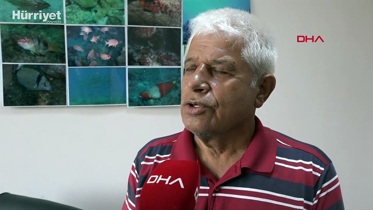 'Denizlerin akciğeri'ne 'katil yosun' tehdidi