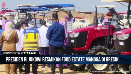 Presiden Ri Joko Widodo Luncurkan Food Estate Berbasis Mangga Di Gresik