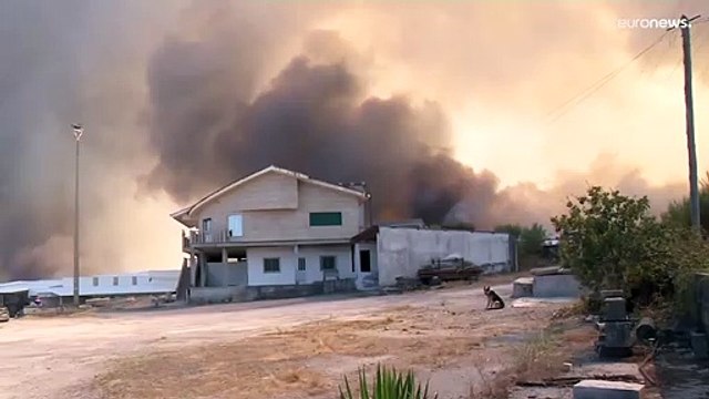 Incendies au nord du Portugal : plus de 300 pompiers mobilisés