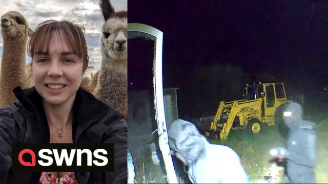 Terrifying CCTV footage captures masked burglars smashing in the windows of a beautiful alpaca farm’s mobile home.