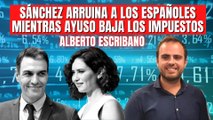 Alberto Escribano (PP) “Sánchez arruina a los españoles mientras Ayuso baja los impuestos en Madrid”