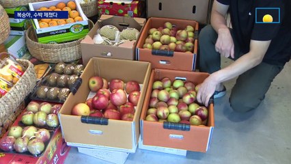 납작복숭아·신비복숭아, 수박 제쳤다…구매 열풍