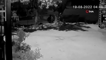 Aşçının ekmek teknesi minibüsü, böyle çalındı