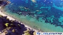 Video News - ISOLA D'ELBA A NUOTO