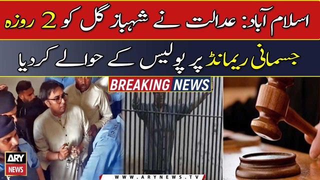 Court handed over Shahbaz Gill to police on 2-day physical remand