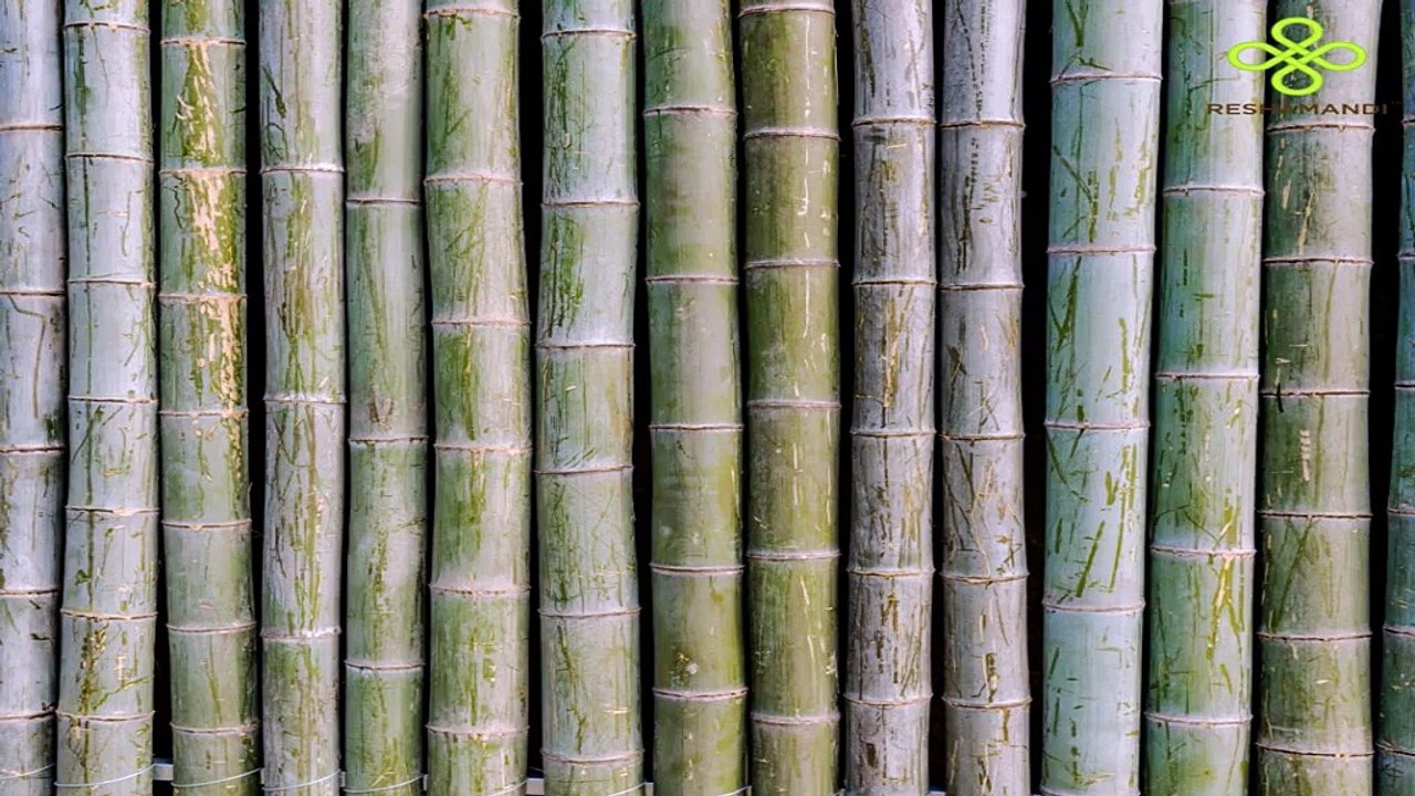 Natural Fabric from the fastest growing woody plant, Bamboo