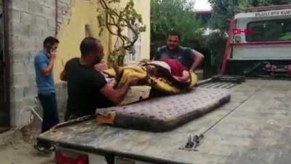 Çardaktan düşüp belini kırdı, tedavi sonrası kontrole çekiciyle götürüldü