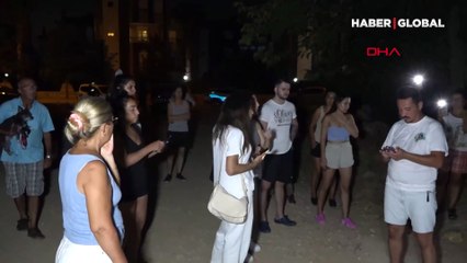 Antalya'da korkunç olay: Muratpaşa'dan sonra bu kez Konyaaltı'da 9 köpek ölü bulundu, çok sayıda köpek kayıp