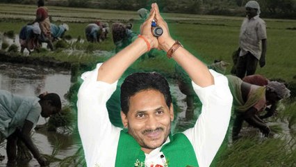 50 లక్షల రైతు కుటుంబాలు... 23,875 కోట్ల ప్రయోజనం *Andhra Pradesh | Telugu OneIndia