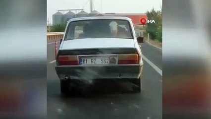 Otomobilin arka koltuğunda buzağı taşıdılar