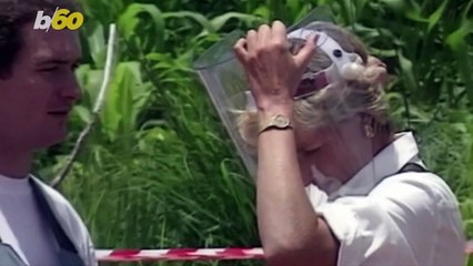 Why Princess Diana was the People’s Princess