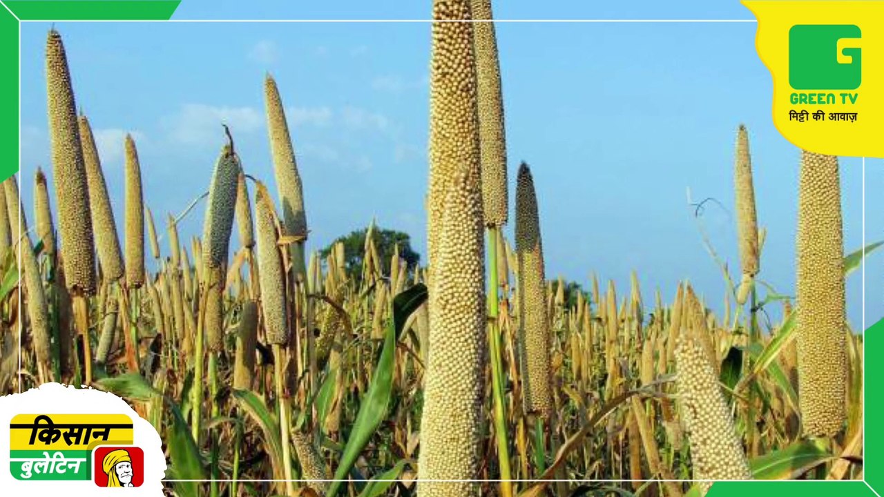 Kisan Bulletin 22 August 2022 - UP government's big announcement in view of less rain and drought, farmers will get crop compensation and full electricity | Green TV