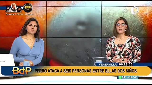 Ventanilla: perro ataca a seis personas y tiene atemorizados a los vecinos