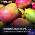 Heboh Bule Beli Mangga di Bali, Harga yang Dipatok Penjual Bikin Publik Melongo