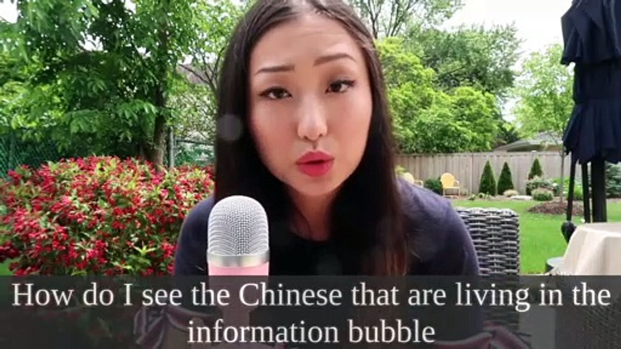 J'ai regardé "Ces chiens ont fait trembler la mafia du piratage (qui | Sylvqin" et d'autres vidéos