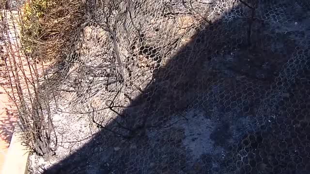 Regreso a la urbanización de Torás que vio las llamas demasiado cerca