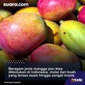 Pedagang Ini Jadi Perbincangan Warganet, Usai Patok Harga saat Seorang Bule Beli Mangga
