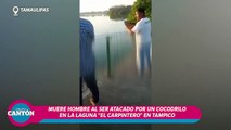 ¡Insólito! Cocodrilo mató a un hombre y se paseó con el cuerpo por una laguna en México