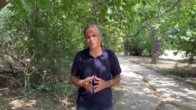 Son dakika haber... Üsküdar Belediyesi, Ot Biçme Gerekçesi ile Polis ve Zabıta Eşliğinde Validebağ Korusu'na Girdi