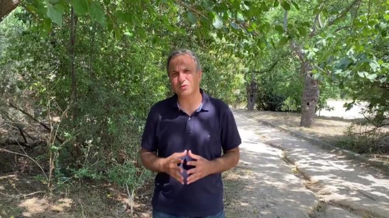 Son dakika haber... Üsküdar Belediyesi, "Ot Biçme" Gerekçesi ile Polis ve Zabıta Eşliğinde Validebağ Korusu'na Girdi