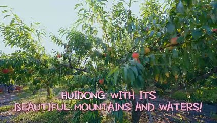 Once Upon a Small Town - Official Trailer Netflix