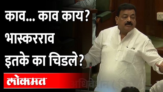 कोण काय बोललं की भास्कर जाधव इतके चिडले? | Bhaskar Jadhav Vidhan Sabha