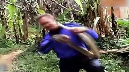 15 Animals With the Strongest Bite Force