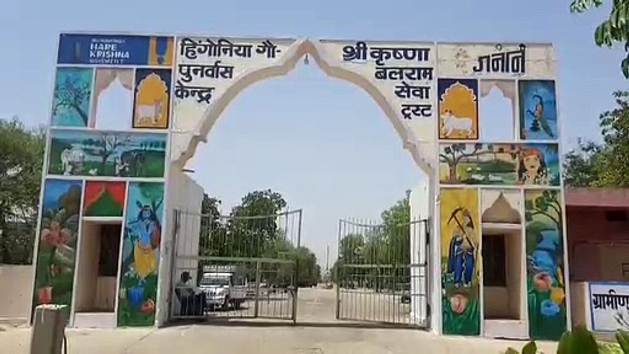 Lumpy Virus-  30 जिलों में फैल चुके  वायरस से...